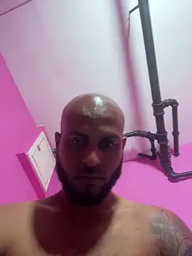 islandvybee55 webcam