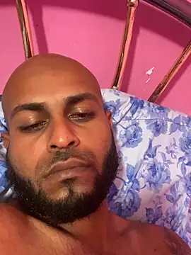 islandvybee55 webcam