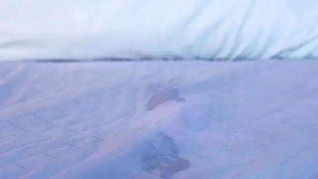 ambar_rosse25 webcam