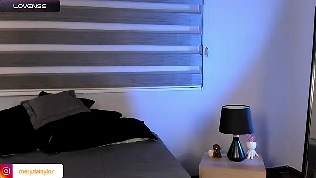 MERIDA_TAYLOR webcam