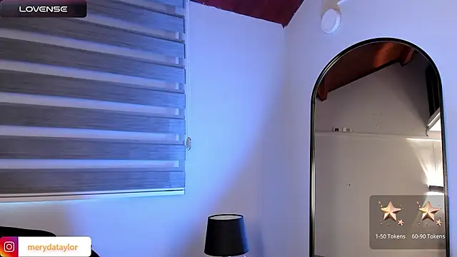 MERIDA_TAYLOR webcam
