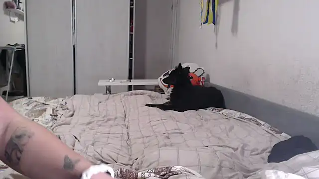 delightful_sofi webcam