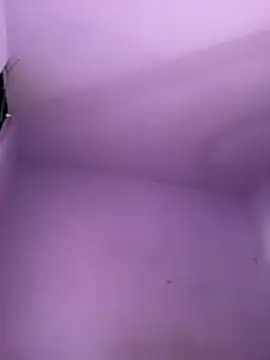 public voyeur cam Emiss 