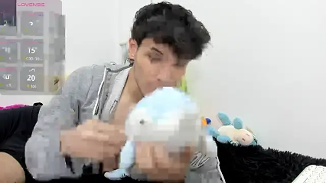 Martinsibiris webcam