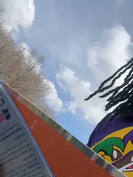 secretknight_Mrmask webcam