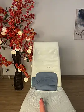 VictoriaHiill webcam