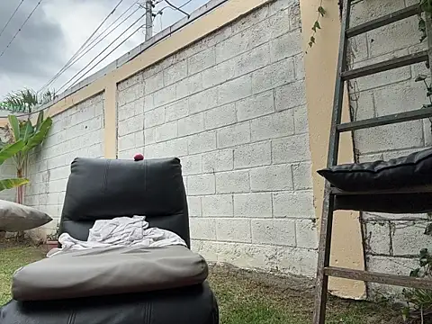 Neil_and_isaac webcam