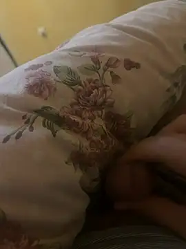 dragon_ndragos webcam