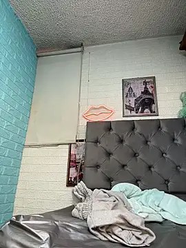 SALOME_KORLAND webcam