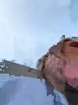 secretknight_Mrmask webcam