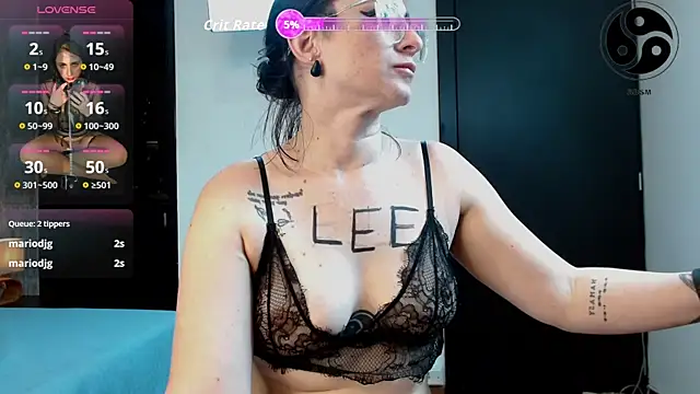 lincebdsm webcam