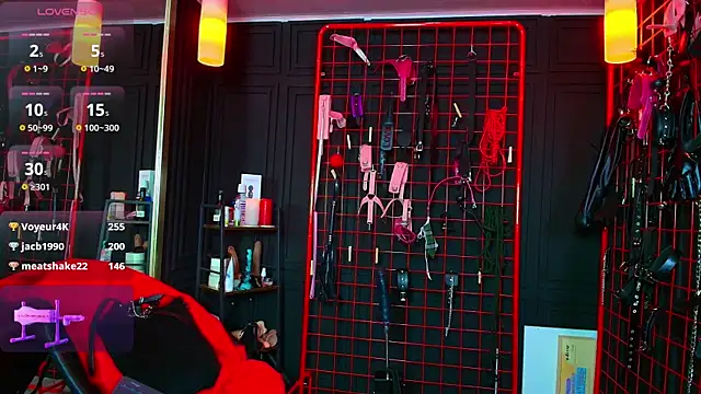 Velvet_Authority webcam