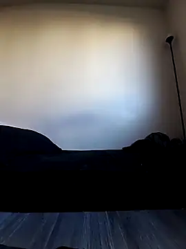 shellynpanda21 webcam