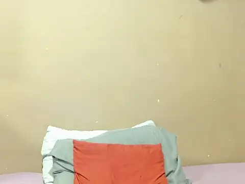 champaigncork webcam