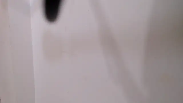 skinnyverus18 webcam