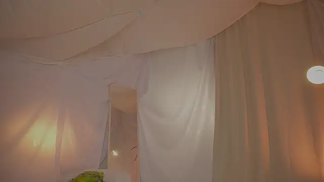 arizonasunrise webcam