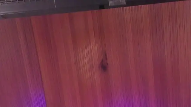 _Kailythompson webcam