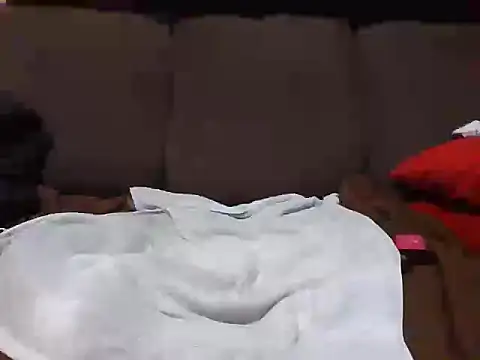 MisterMiester45de17cm webcam