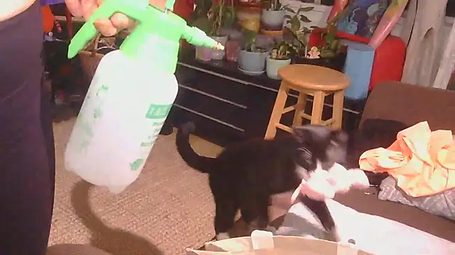 ticklemepinkk webcam