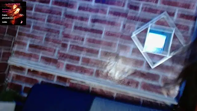 scarlet_queen__ webcam