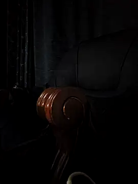 sk8brd_snwbrd_no_snitch webcam