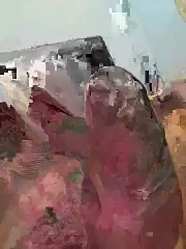 trembossauro27 webcam