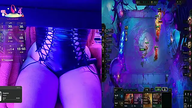 baileymonarch webcam