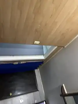 sofisofisofii webcam