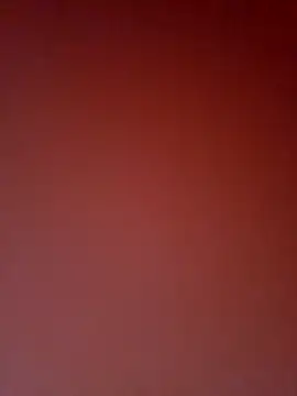 -TheCatCrazy- webcam