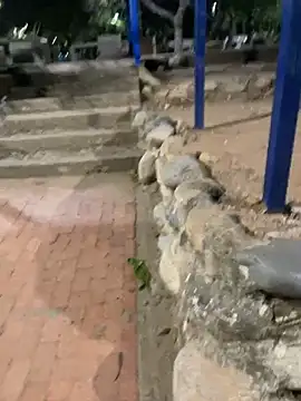 Datoka_adrenaline webcam