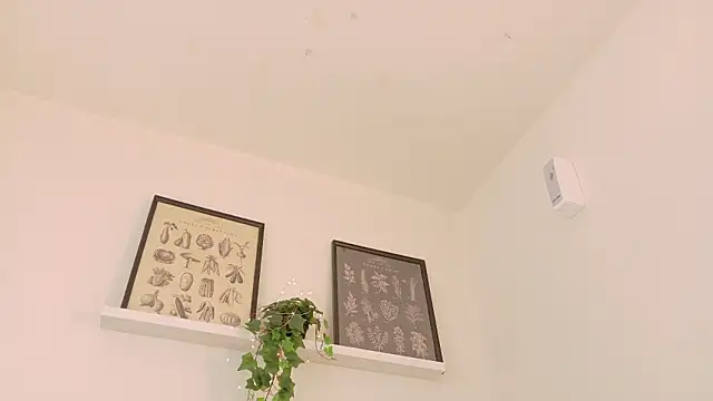 memphiswilliam webcam