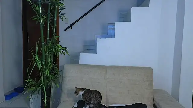 Lorenne_Miller webcam