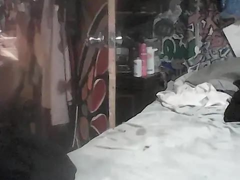 Twoslipperywhenwett webcam