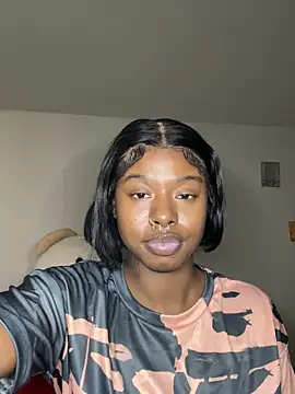 TinyBlazian901 webcam