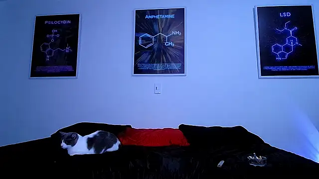 Mar_con_Luna_ webcam