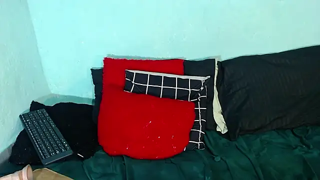 Ariatnaanddilan webcam