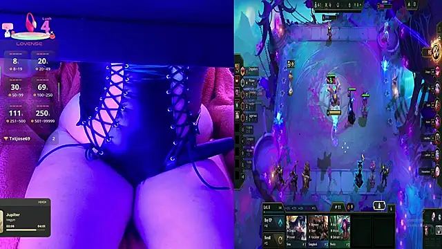 baileymonarch webcam