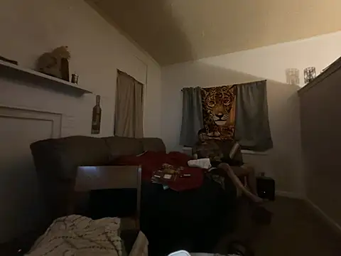 ThrowedWorldWide webcam