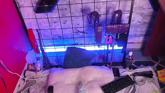 Charlotte_Bms7 webcam