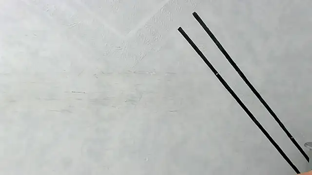 MarcoAndAllice webcam