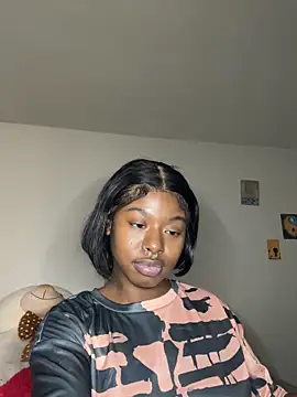 TinyBlazian901 webcam