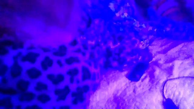 prettymaa - Prettymaa's free webcam - UK Sex Cams