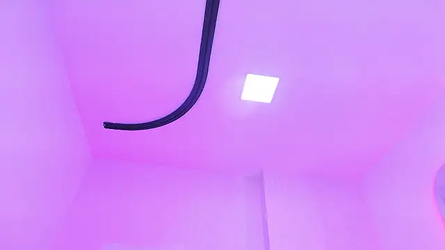 _carolina_fox webcam