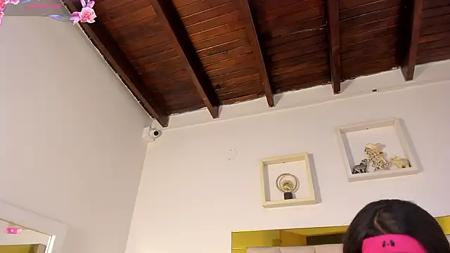 vahiolet_fuentes webcam