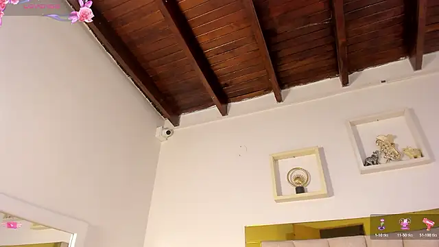 vahiolet_fuentes webcam