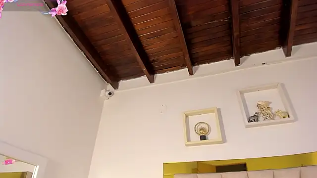 vahiolet_fuentes webcam