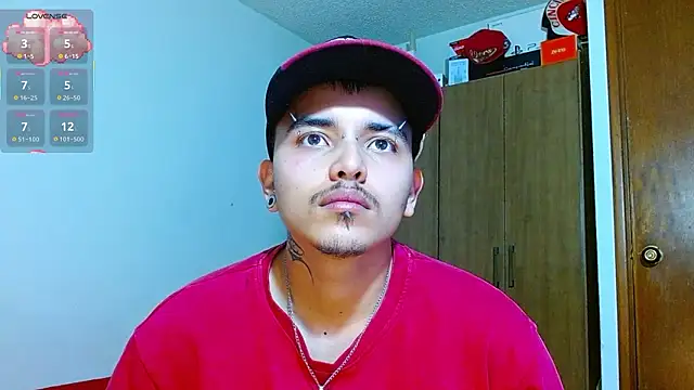 Hgp3riodictabl3 webcam