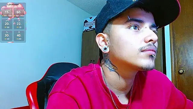 Hgp3riodictabl3 webcam