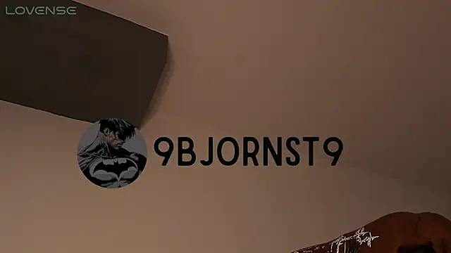 BjornSteel webcam