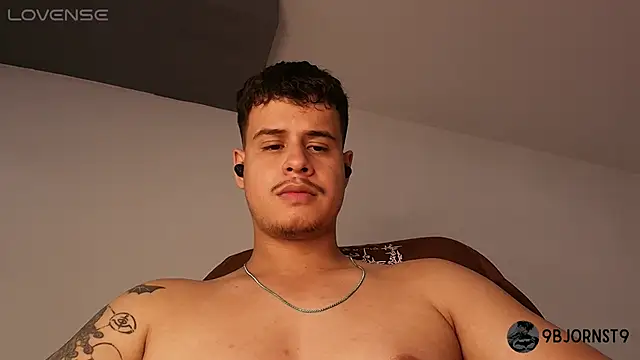 BjornSteel webcam